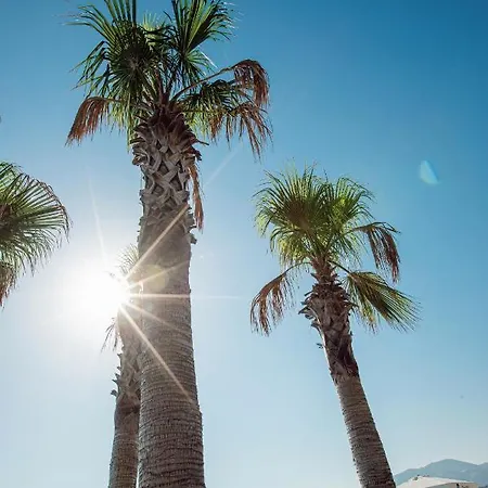Boel Hotel Bodrum מלון *