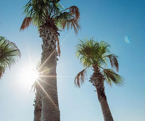 Boel Hotel Bodrum Hotell *